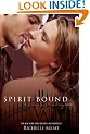 Vampire Academy 5 Spirit Bound