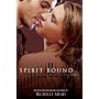 Spirit Bound (Vampire Academy, Book 5)