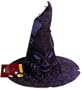 Harry Potter Hogwart Gryffindor School Sorting Hat