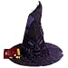 Harry Potter Hogwart Gryffindor School Sorting Hat