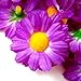 (24) Silk Violet Gerbera Daisy Flower Heads , Gerber Daisies - 1.75