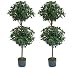 TWO Pre-potted 4' Citrus Leaf Double Ball Artificial Topiary Two Tone Green