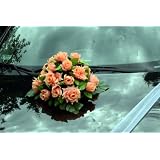 Autoschmuck Rattan Feder Autodeko Hochzeit Dekor Verschiedene Variante Komplett (Gelb, Blumenstrau� - orange)von "APM"