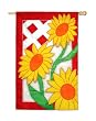 Sun Up Regular Size Applique Flag