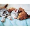 Ravensburger Sweet Dreams - 300 Piece Puzzle
