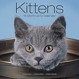 Kittens