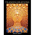 (Transfigurations) By Grey, Alex (Author) Paperback on (11 , 2004)