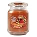 Yankee Candle&reg; Home Classics Jar Candle - Home Again (22oz)