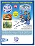 Aqua Globes Glass Watering Bulbs - 4 Pack
