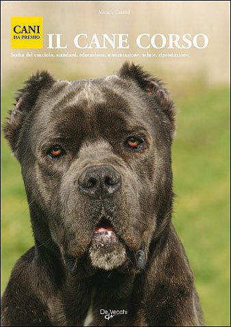 De Vecchi Cane corso