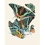 Papillons, by E.A. Seguy (Print On Demand)