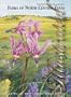 Shinners & Mahler's Illustrated Flora of North Central Texas (Sida, botanical miscellany)