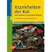 Krankheiten der Koi und anderer Gartenteichfische