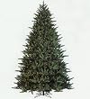 7.5' Fresh Cut Wisteria Spruce Pre-Lit Artificial Christmas Tree - Multi Lights