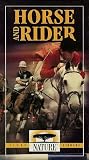 HORSE AND RIDER