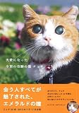 天使になった全盲の奇跡の猫チョキ