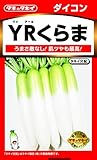 タキイ種苗大根 YRくらま