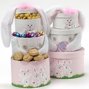 Art of Appreciation Gift Baskets Somebunny Special Easter Bunny Rabbit Gift Tower, Pink Art of Appreciation Gift Baskets Somebunny Special Easter Bunny Rabbit Gift Tower, Pink