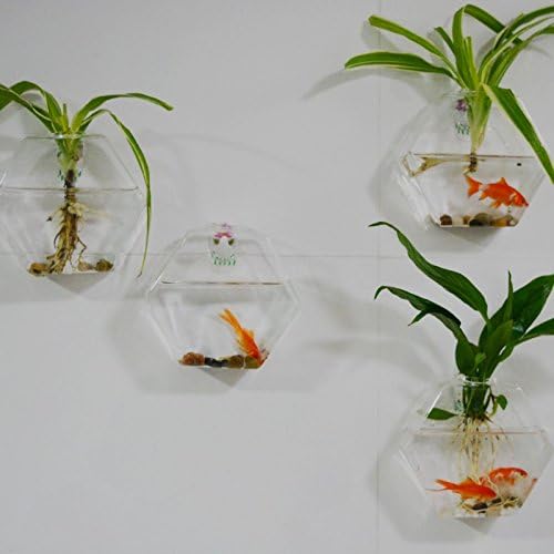 Wufa Hanging Glass Wall vase Hexagon Flower Plant Terrarium fishbowl Pack of 4