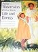 Paint Watercolors Filled with Life & Energy: Learn How to Use Light & Color to Express Feeling in Your Watercolors