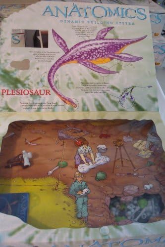 Anatomics Plesiosaur