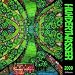 2009 Hundertwasser Art Wall Calendar