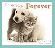 Friends Forever 2009 Daily Boxed Calendar (Calendar)
