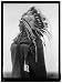 Photo Reprint LAZY BOY. INDIAN CHIEF 1914