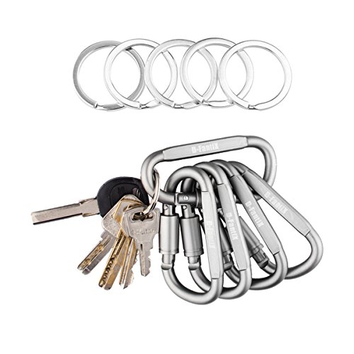 D-FantiX Aluminum D-ring Locking Carabiner Keychain Hook Lock Carabiner Clip Carabiner Screw Edc Outdoor Camping Hiking Gear (Set of 5)