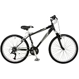 Schwinn