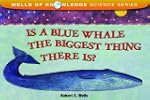 Is A Blue Whale The Biggest Thing The...