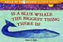 Is A Blue Whale The Biggest Thing There Is?