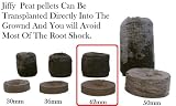 100 Jiffy 7 Peat Pellets 42mm - Seeds Starting - Jiffy Peat Pellet Helps to Avoid Root Shock - 100 Jiffy Peat Pellets 42mm