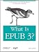 Produkt-Bild: What Is EPUB 3?