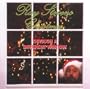 Christmas Through a Different Window