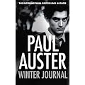 Winter Journal