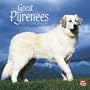 Great Pyrenees 2010 Square Wall (Multilingual Edition)
