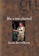 Like a Tree Planted