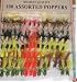 100 Fly Fishing Poppers! New! Crappie, Bluegill, Trout!
