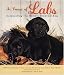 Books : In Praise of Labs: Celebrating the World's Greatest Dog