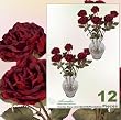 12 pieces of 23 inches Dry Look Artificial Rose Spray _Red