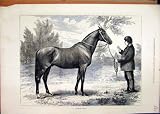1874 MAN HOLDING HORSE SCOTTISH CHIEF COUNTRY OLD PRINT