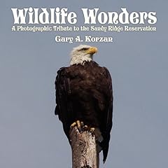 Wildlife Wonders: A Photographic Tribute to the Sandy Ridge Reservation