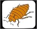 51ilHSSiY9L._SL75_ Mouse Pad with bug, mite, insect, bedbug