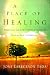 A Place of Healing: Wrestling with the Mysteries of Suffering, Pain, and God