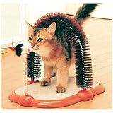 キャティーグルーミング