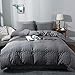 AveLom Seersucker Duvet Cover Set Queen Size (90 x 90 inches), 3 Pieces (1 Duvet Cover + 2 Pillow Cases), Dark Gray Ultra Soft Washed Microfiber, Textured Duvet Cover with Zipper Closure, Corner Ties