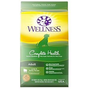 Wellness Complete Health Natural Dry Dog Food, Lamb & Barley, 5-Pound Bag
