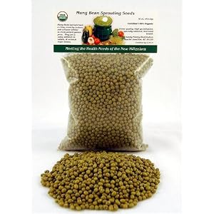 Mung Bean Sprouting Seed Organic 5 Lbs Mung Bean Sprouting Seed Organic 5 Lbs