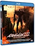 Evangelion: 2.22 you can (not) advanc...